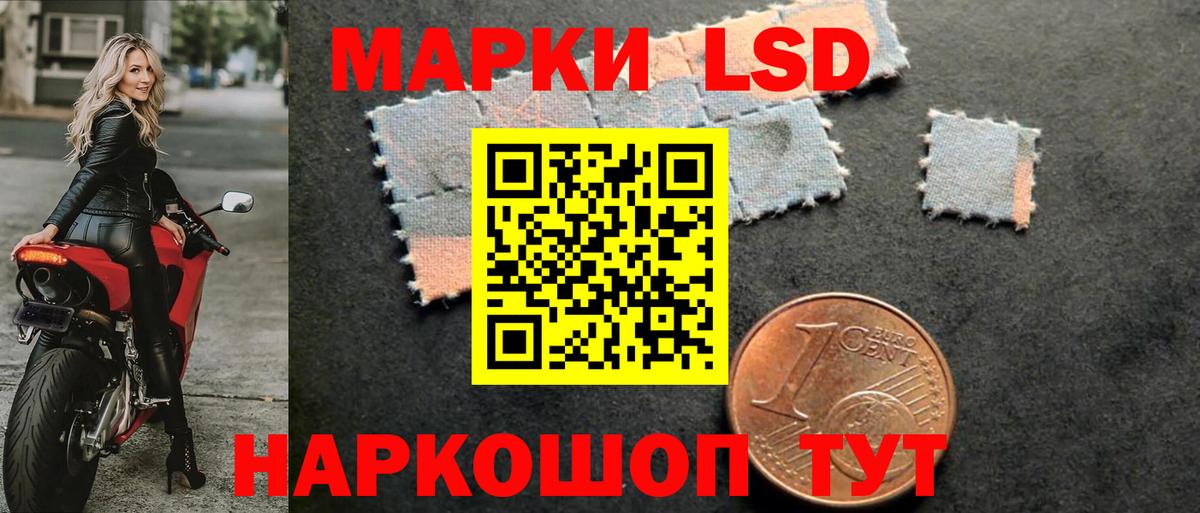 LSD-25 экстази кислота Лесной