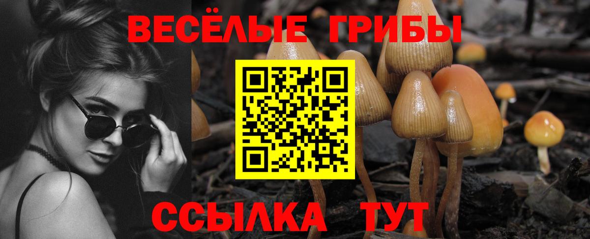 Псилоцибиновые грибы GOLDEN TEACHER  Галлюциногенные грибы MAGIC MUSHROOMS  Лесной  Вход с VPN 