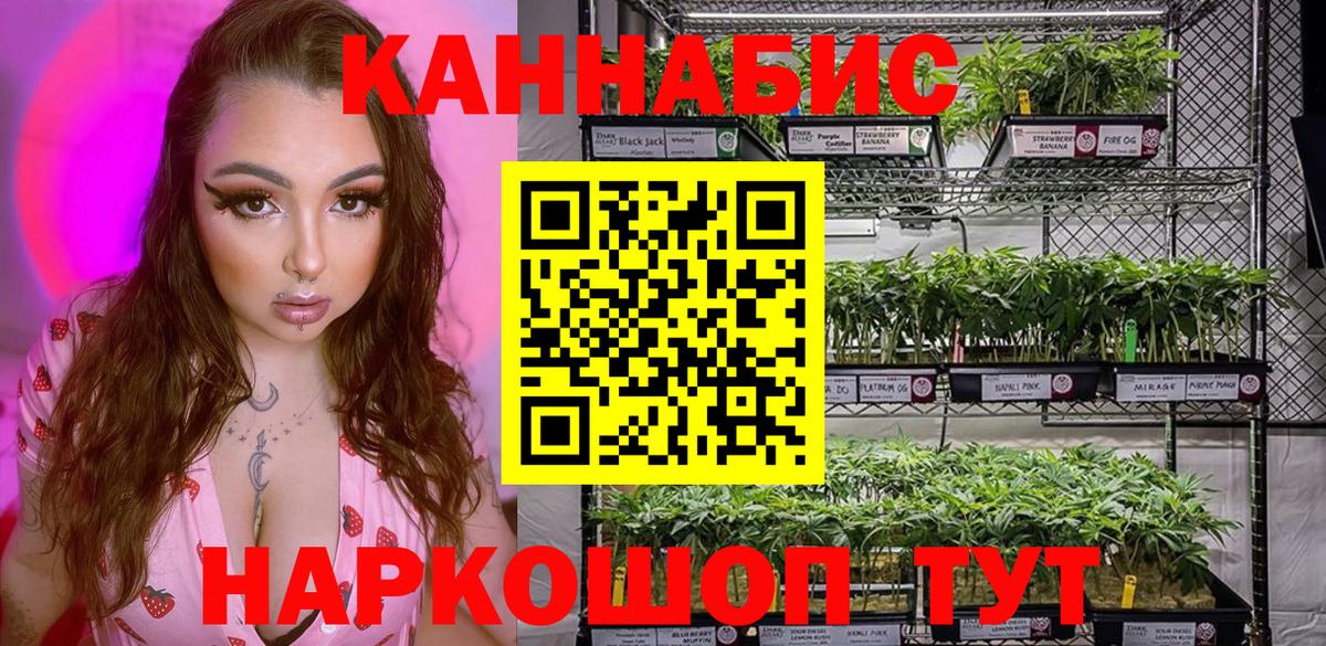 Шишки марихуана план Лесной