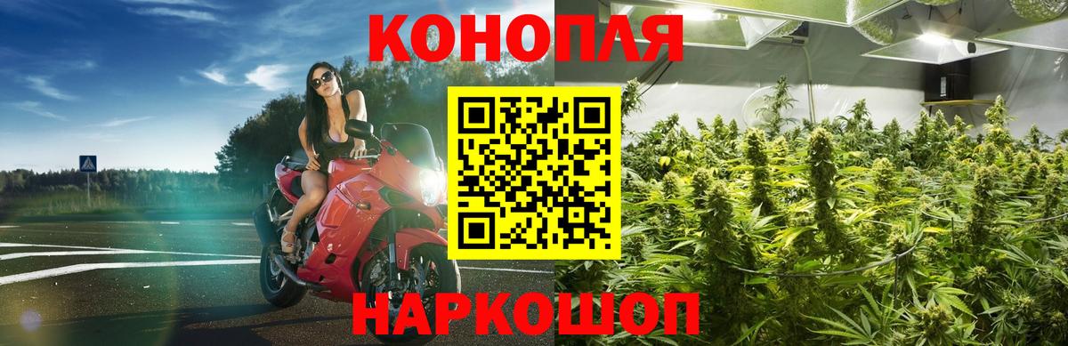 МАРИХУАНА сатива  Каннабис Amnesia  Лесной  Вход с VPN 